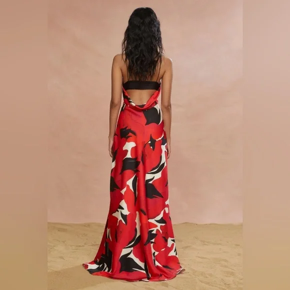 AMUR Red and Black Maxi Dress